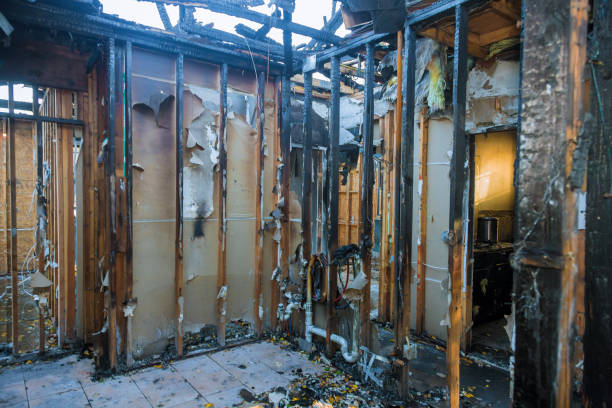 Professional Fire Damage Removal technician working in Stock Island, FL